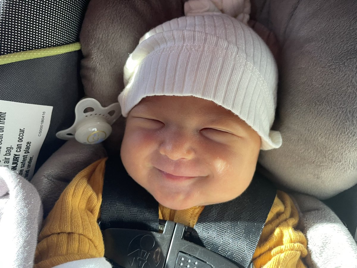 CHASING CARDBOARD tweet media