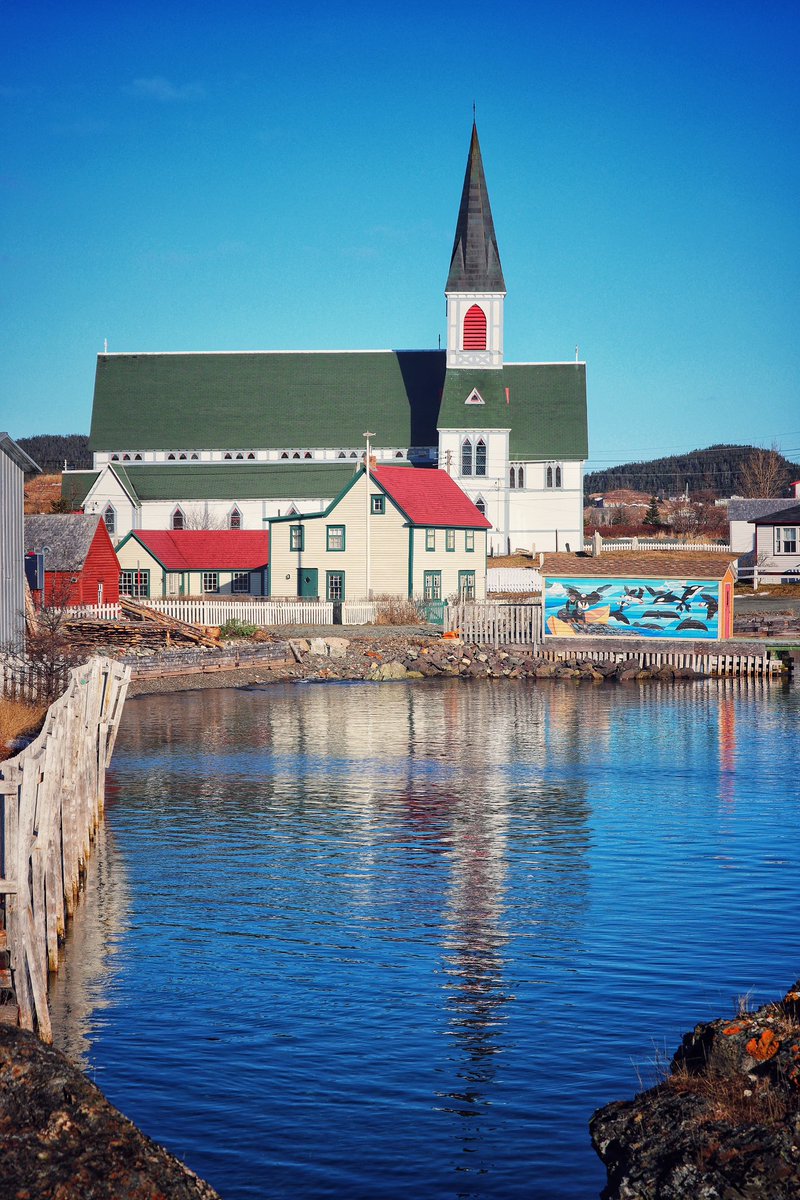 Trinity Harbour view from this morning. What an awesome Saturday!