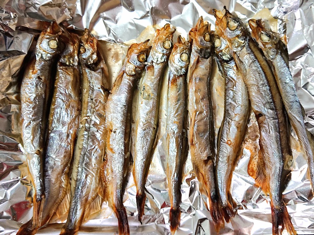 novustojkovic's tweet photo. 「roast fish」

朝飯の
こんがりししゃも。

version Twitter

#Фото #東京 #breakfast
#tokyo #XPERIA #sony
#roastfish #写真 #photo
#foto #朝飯  #ししゃも https://t.co/Xx6MVKsaq6