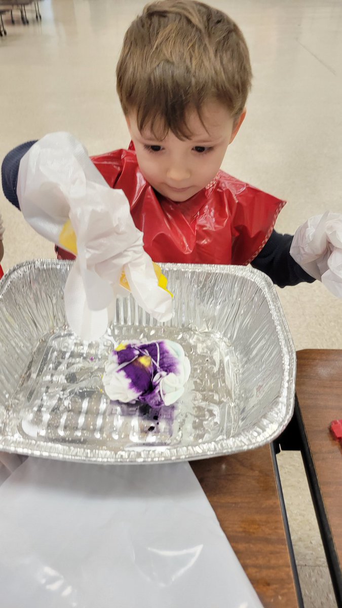 Alison Bancroft tweet media