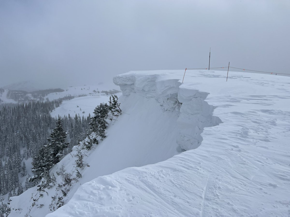 The Storm Skiing Journal & Podcast tweet media