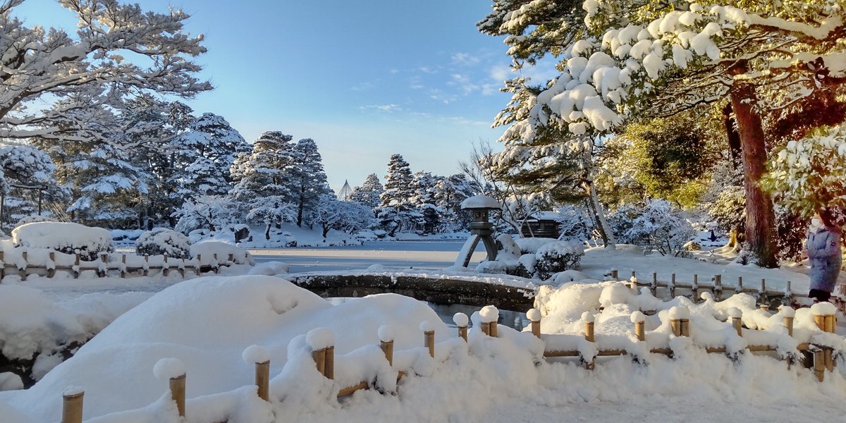 雪景色に青空。
ハンパない絶景の兼六園。

#兼六園
#雪吊り
#ことじ灯籠
#雪景色