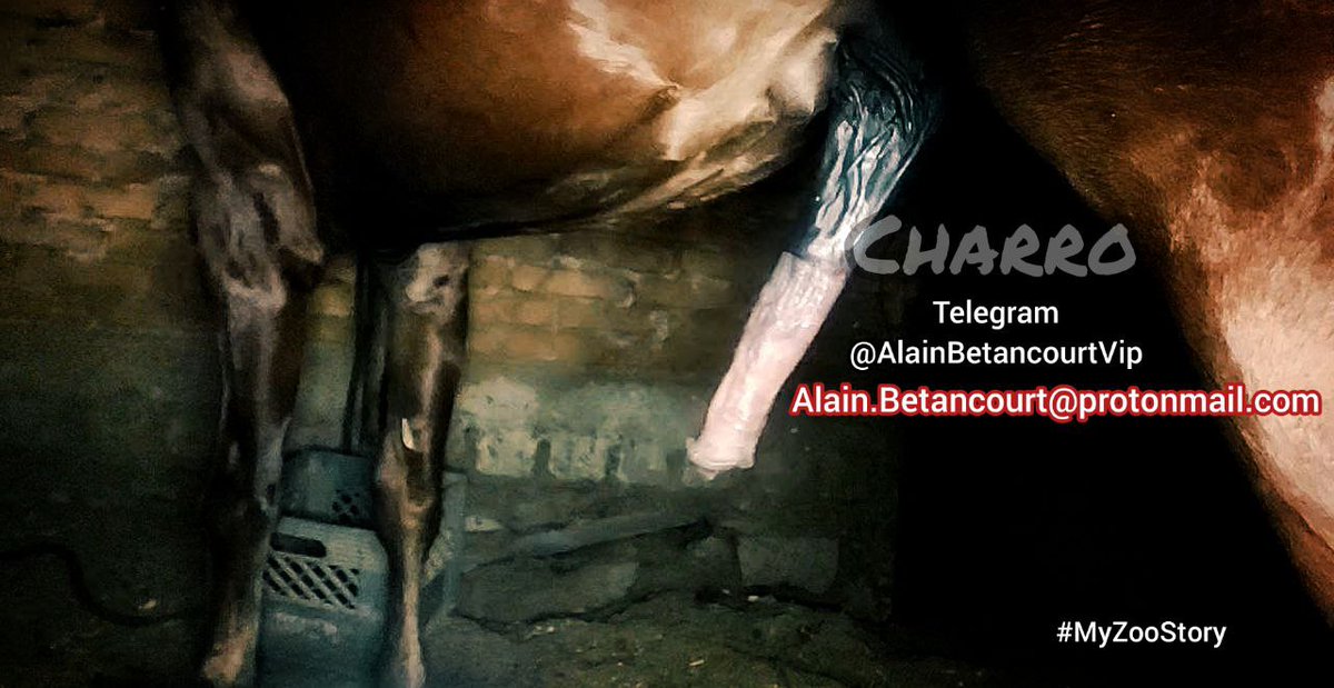 AlainBetancourtVip tweet media