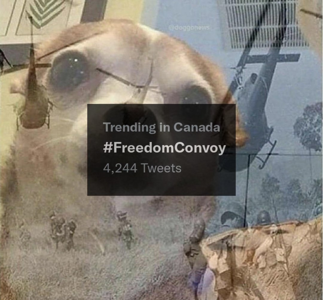 This is trending. Again.

I'm literally shaking.