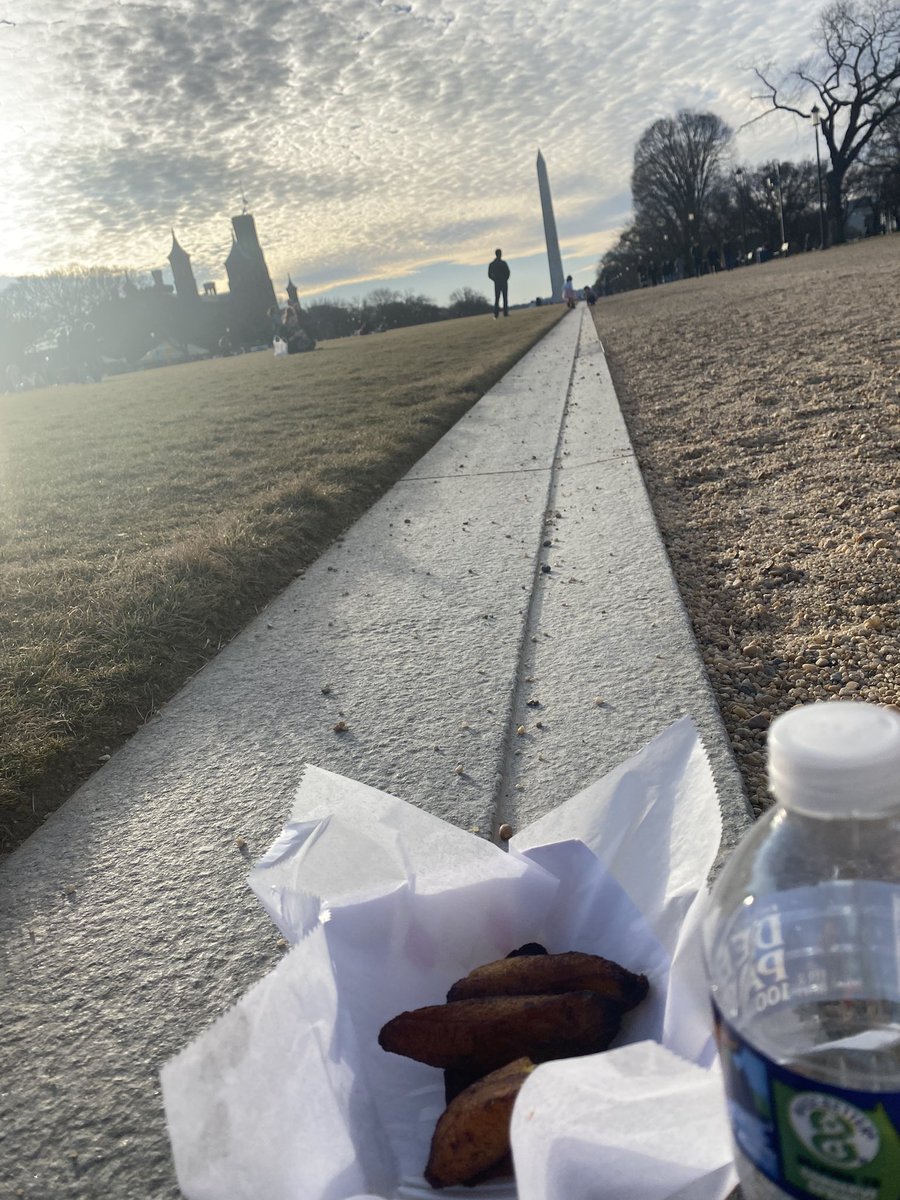 cutshawsmith's tweet image. Spent some time with the sun eating plantains on the mall. #perksofthejob