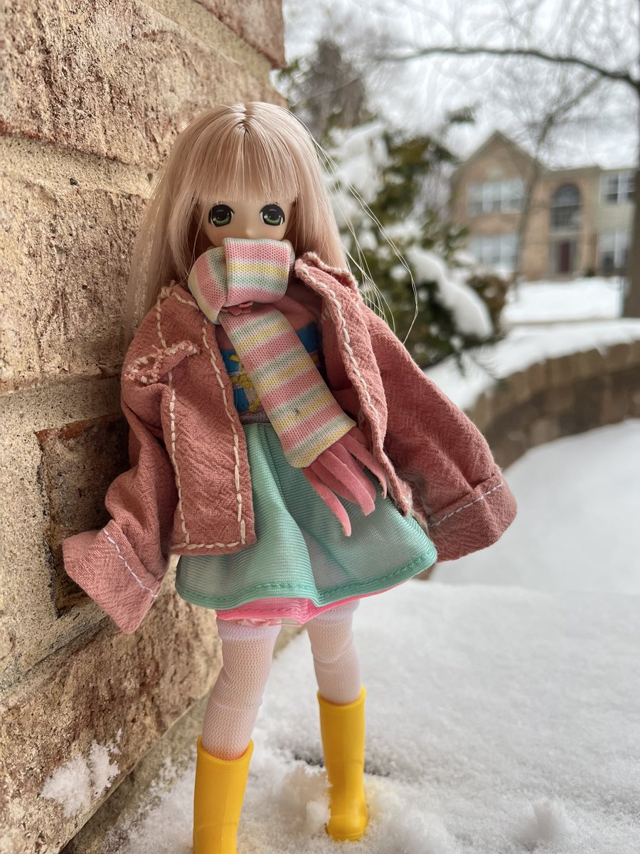 Its cold outside! 

#azonedoll #pureneemo