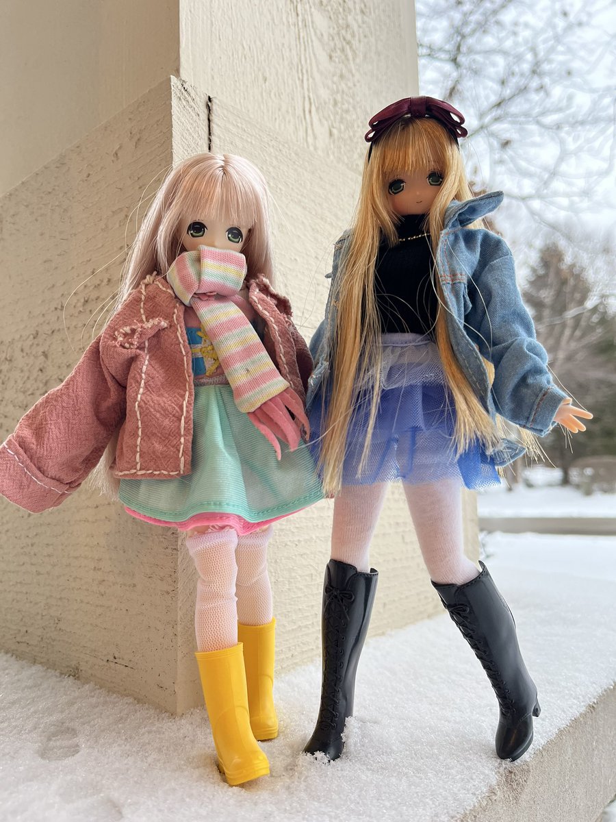 Sisters ❄️🥰

#azonedoll #pureneemo #snow