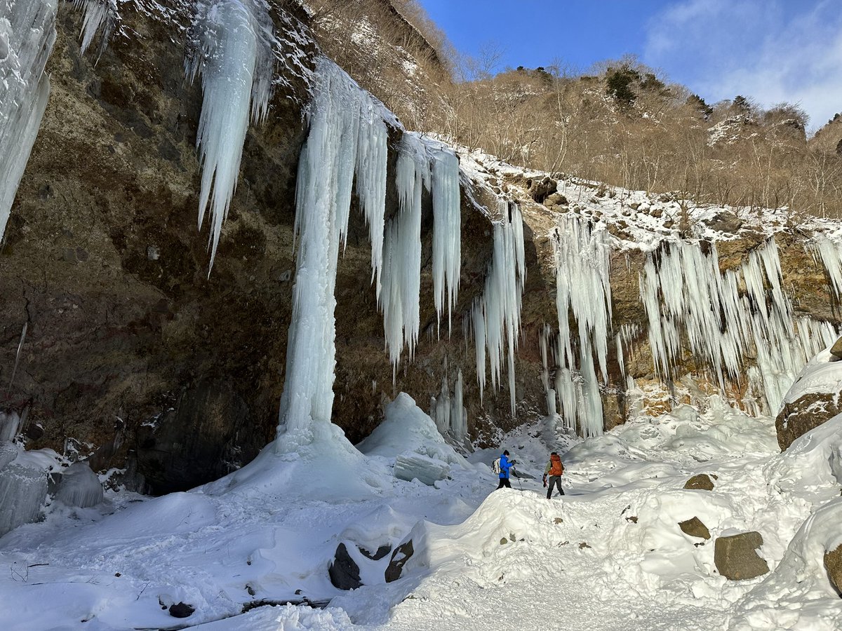 桐たんす tweet media