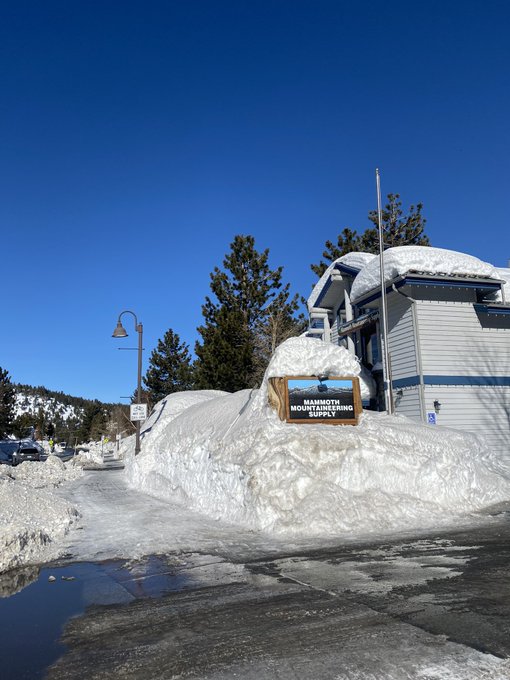 I already miss Mammoth 🦣 https://t.co/OefvZfV00C