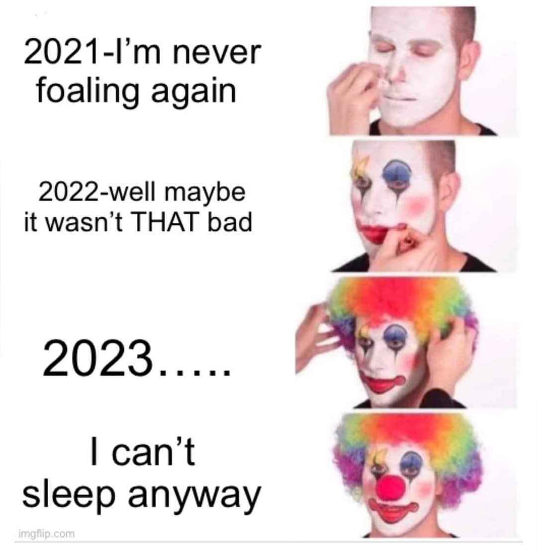 DecemberFarm's tweet image. 