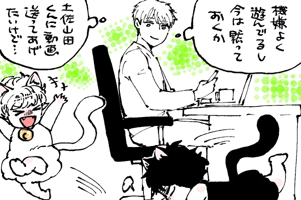 🐱キラキラにゃんこ生活
上田先生の情報操作🤔 