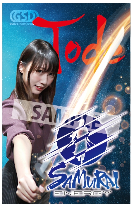 激安超安値 【値下げしました！】CUESOUL Asteria 2BA 田中千尋選手