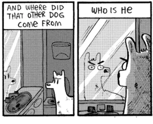 john vs mirrors 