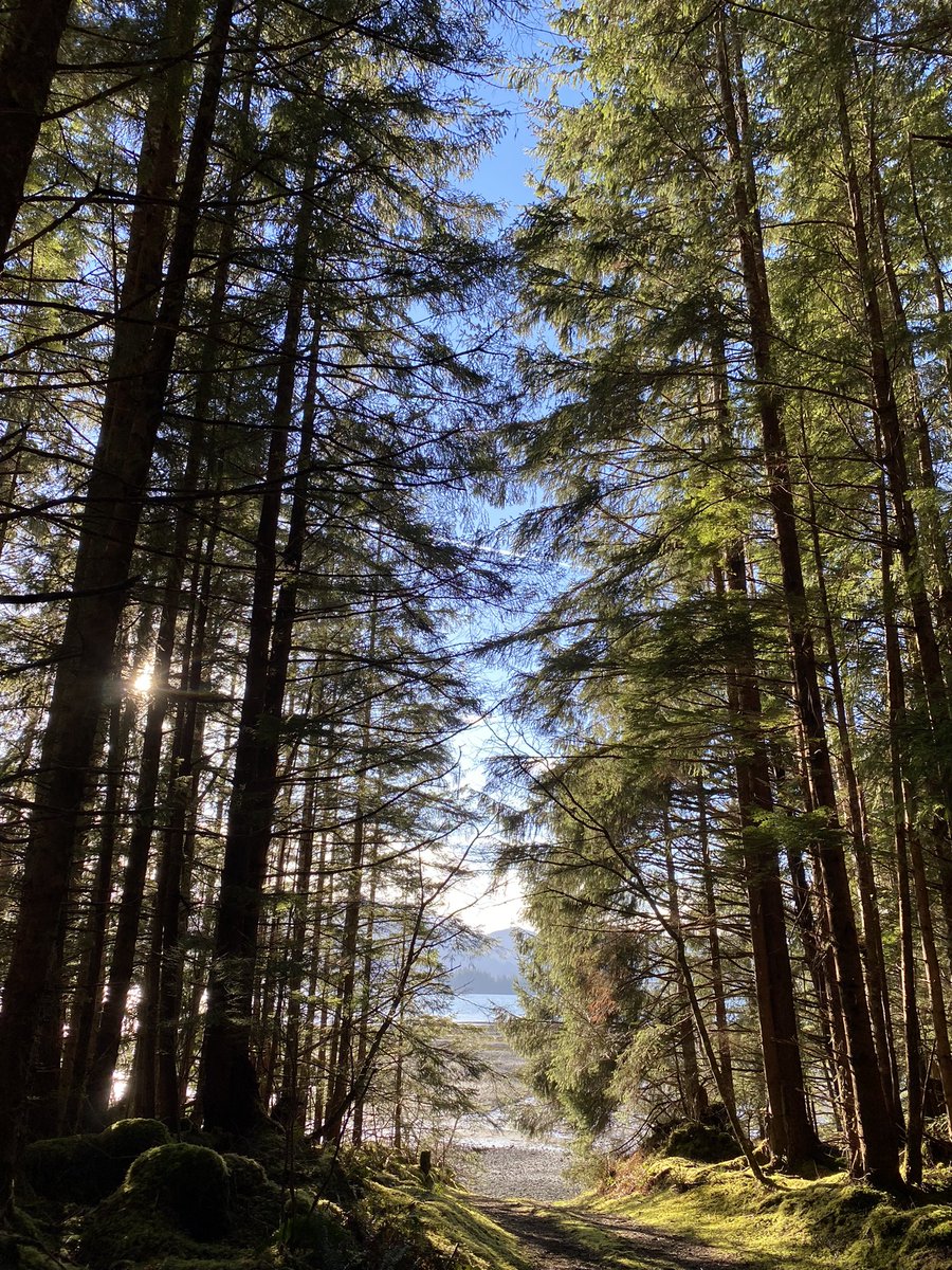 January vitamin D is the best & most coveted. #HaidaGwaii