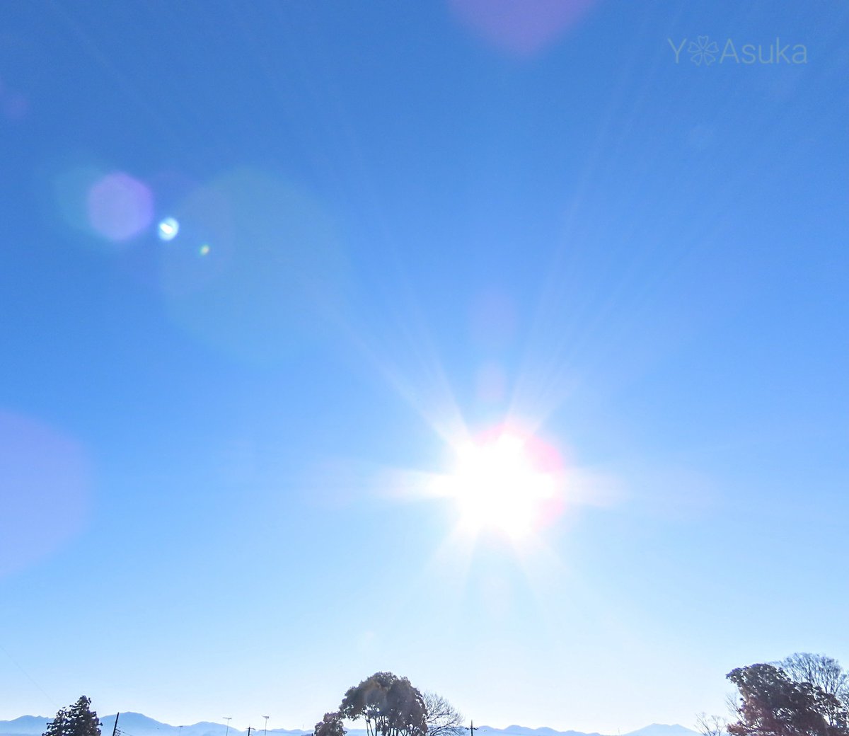 yumeasutw's tweet photo. 青空にお日様燦々✨キーンと冷えた快晴の日曜日の朝☀️
遠くの山々がハッキリと望めます🏔️
予想最高/最低気温🌡️7℃/-8℃
晴れ時々曇り☀️/☁️
冬晴れのお洗濯日和👕夕方は雲が多くなりそうです。
#空の名前
#天気の図鑑 #雲友の会
#日光連山
#ロウバイ #蝋梅 #庭花 #花 #Flower
#a2023 #a0129 #a202301 https://t.co/EjsZ0AHDgX