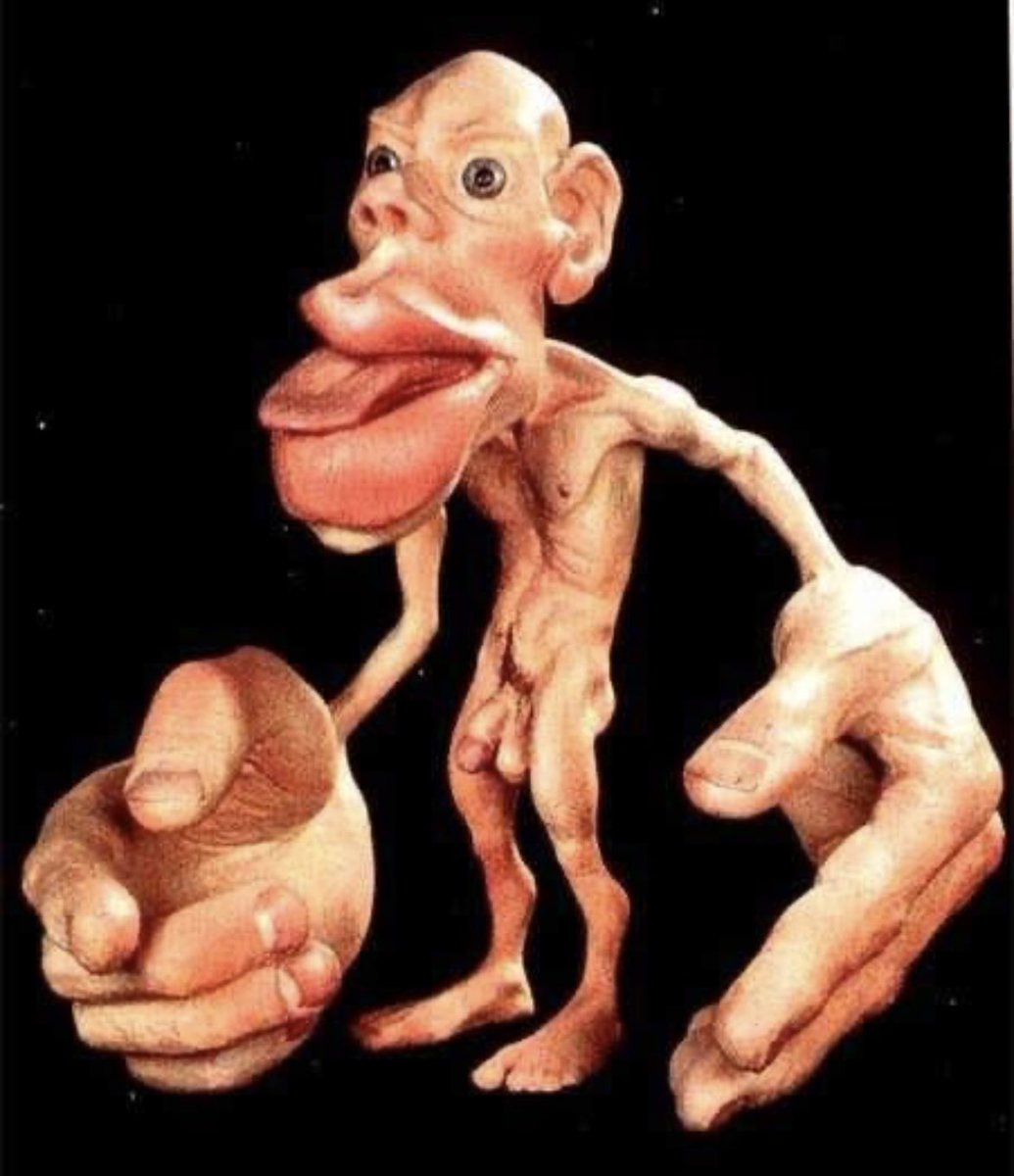 i do not look like a dim light bulb tweet media