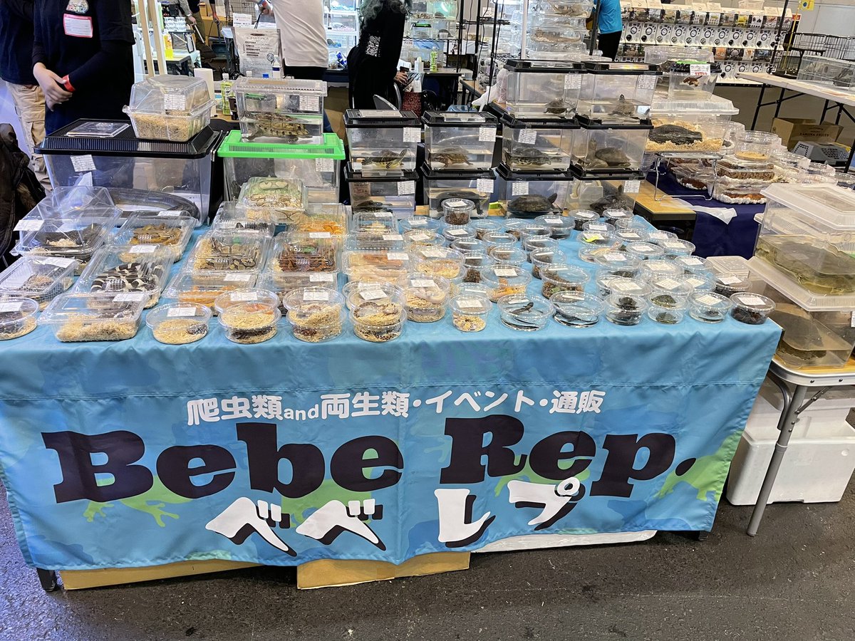 Beberep_F's tweet image. ２日目始まりました！
今日も1日宜しくお願いします。