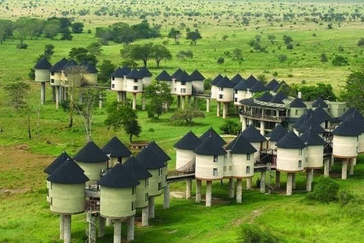 Absolutely mesmerised by this safari lodge in Kenya, it's simply gorgeous! #Kenya #SafariLodge #Travel