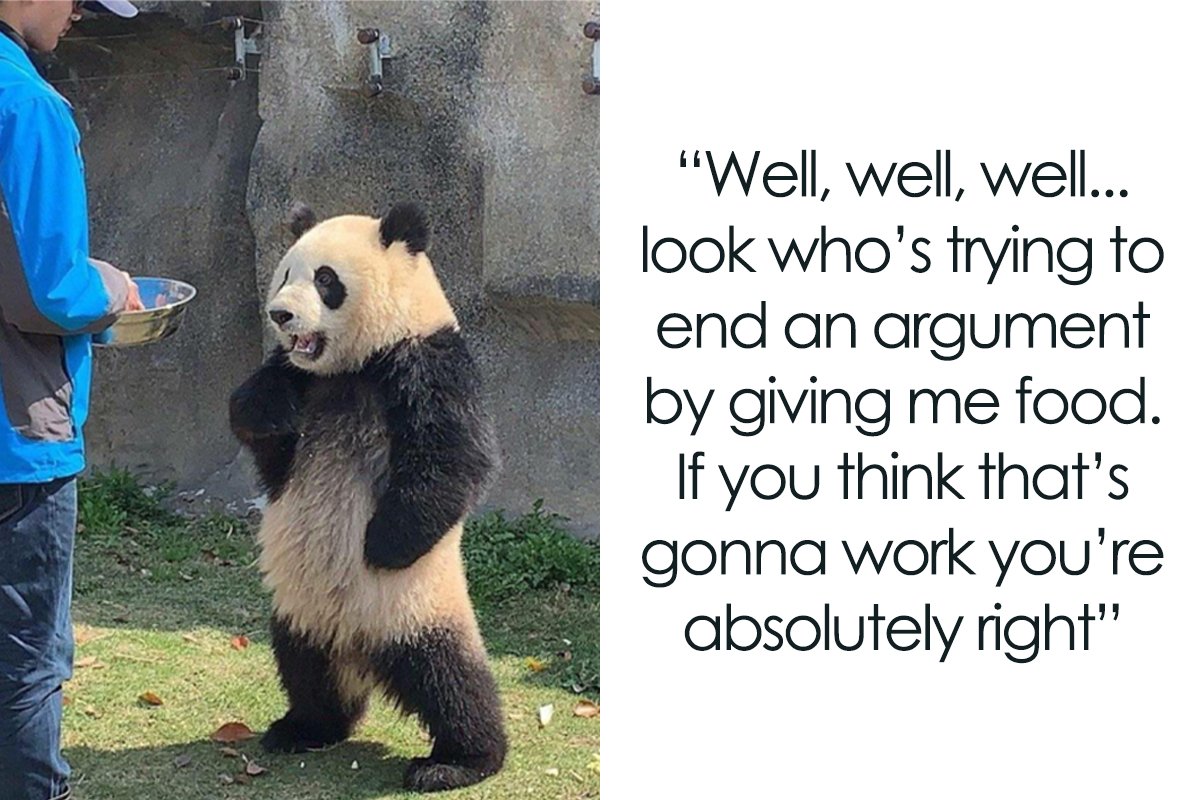 WholesomeMemes tweet media