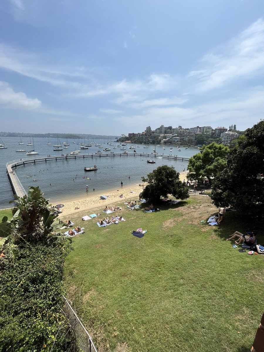 PhilipThalis's tweet photo. More such #sydneyharbourpools please!
Sublime & amenable #redleafpool, now also known after its Olympian devotee #murrayrose.
Generous safe enclosure, lots of fun as well as serious swimming, pontoons, sand, grass & shade.
Intensely urban setting.
Quintessential #publicsydney π§΅ https://t.co/XQ6EdSc1Vo