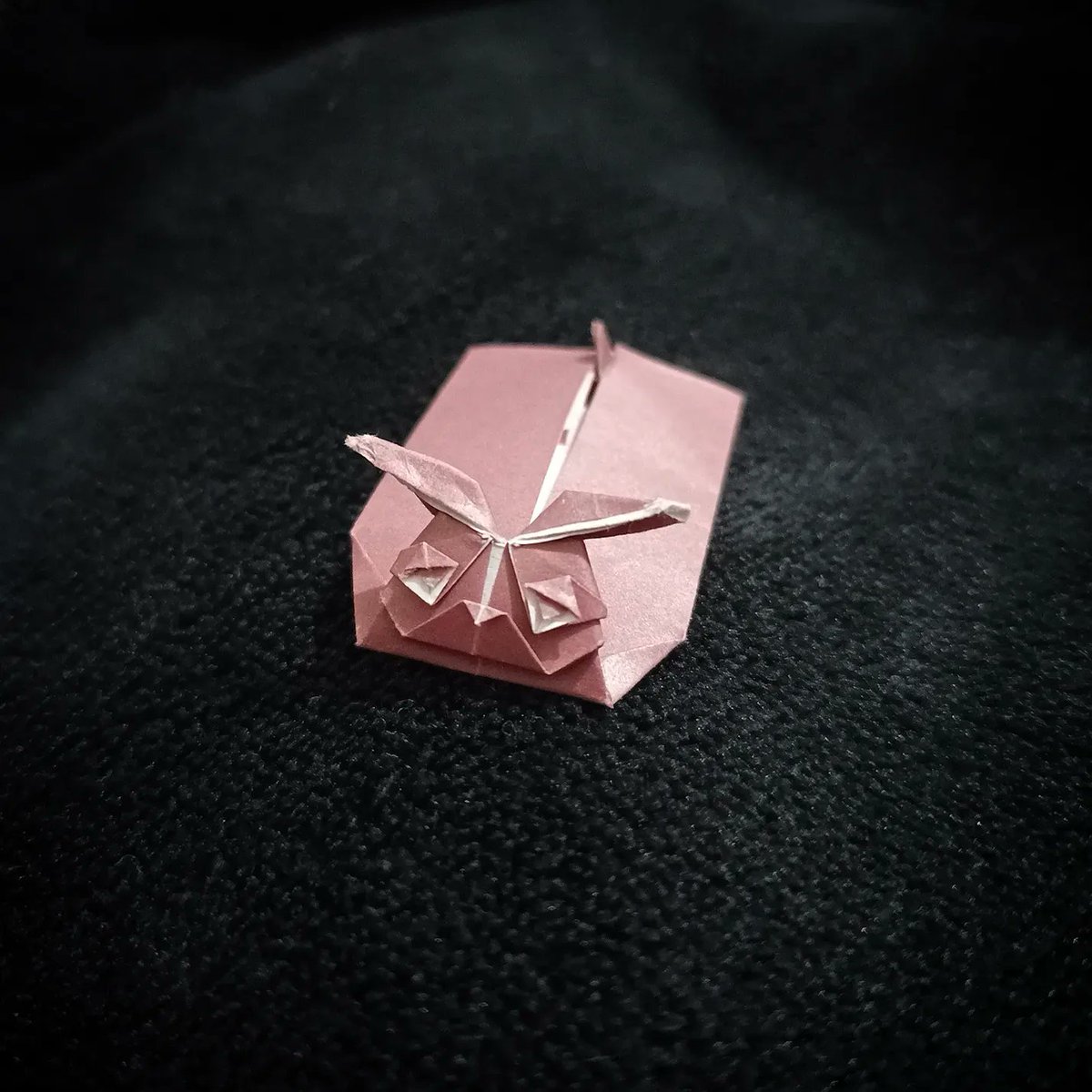 YunYuOrigami's tweet image. Look what a beautiful bunny I have folded, that my friend shared the model with me, thanks ☺️
MODEL: Rebbit Envelope. 
AUTHOR: Wei Lin Chen. 
FOLDED: By me 🙋🏻‍♀️
SHEET: 4cmx8cm bicolor rectangle. 
The diagram can be found in the author&apos;s profile
#origami #origamifun #origamitutorial