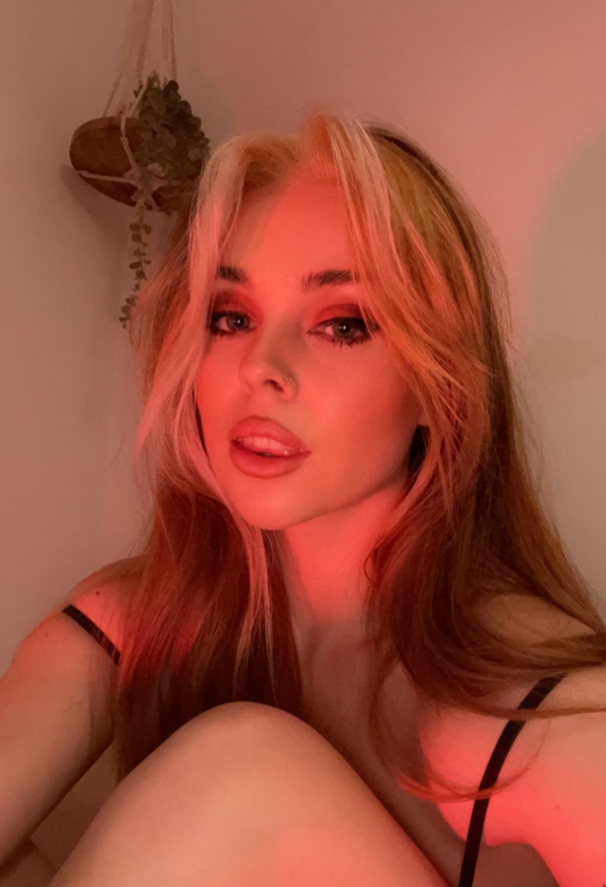 Meow https://t.co/pE5wTkcmDe