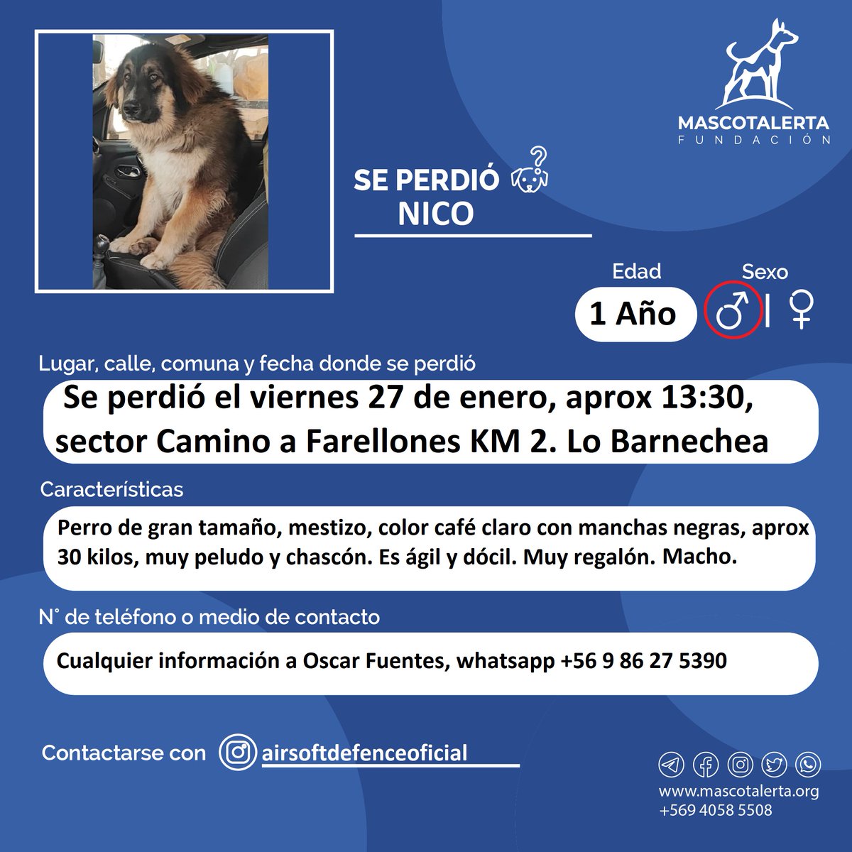 <a href="/Susy19571/">Susy1957</a> <a href="/lo_barnechea/">Lo Barnechea</a> Gracias 🙏