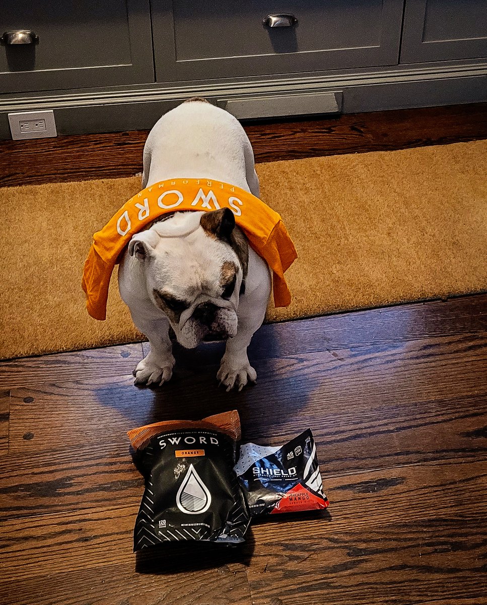 Best friends deserve the best in hydration. 

Stock up on SWORD today - bit.ly/drinkswordtw

#stayhydrated #healthyhydration