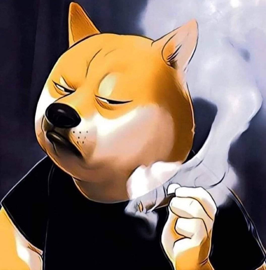 Dogecoin_Mexico's tweet photo. One of my favorite pictures! 🔥 https://t.co/5IMKVsKk0J