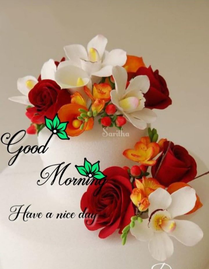 NeerajKumarLut2's tweet photo. @pushpathak Good morning 🌄 https://t.co/EDykMa3XMs