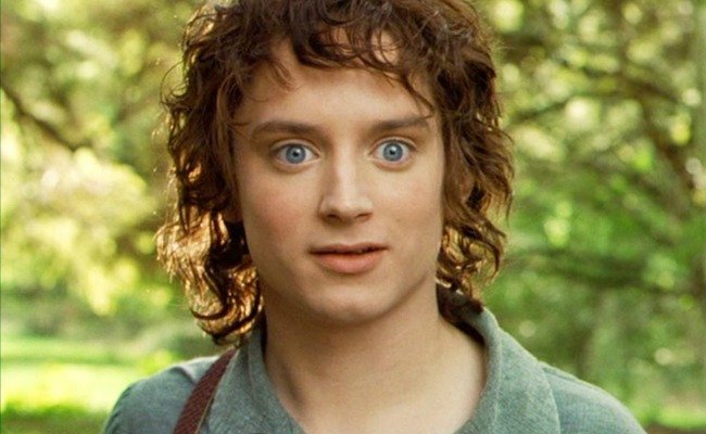 Belated Happy Birthday to Elijah Wood! 