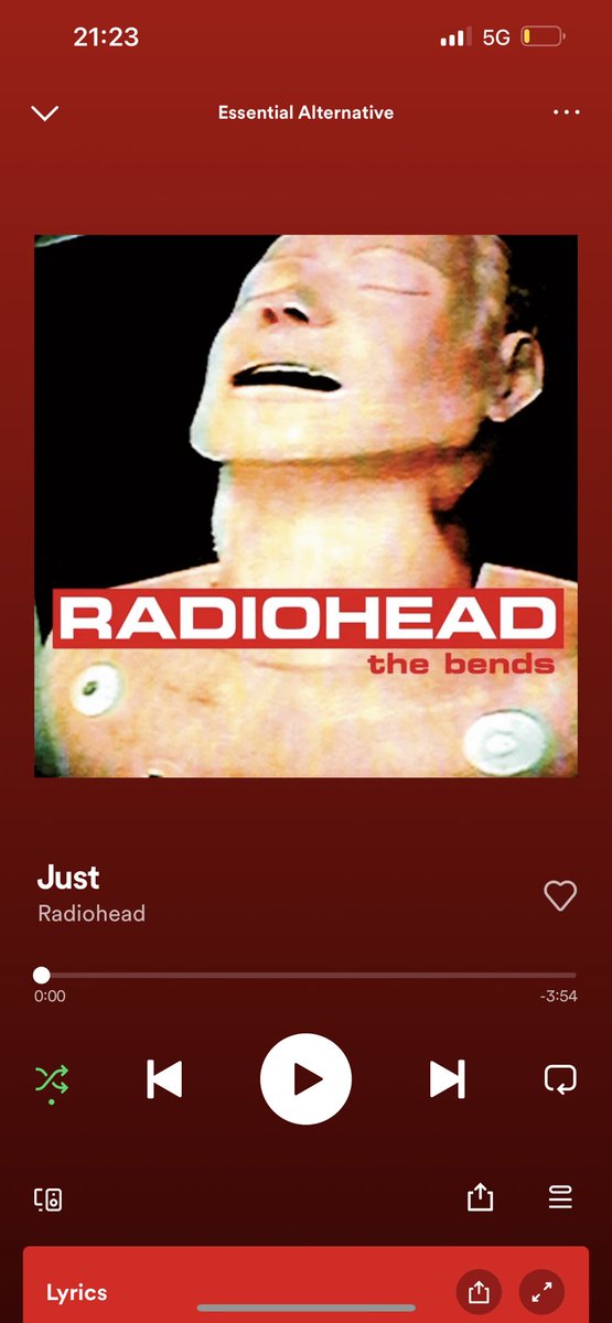 lizzielizzarddd's tweet image. me vs my pinterest vs my current favorite song