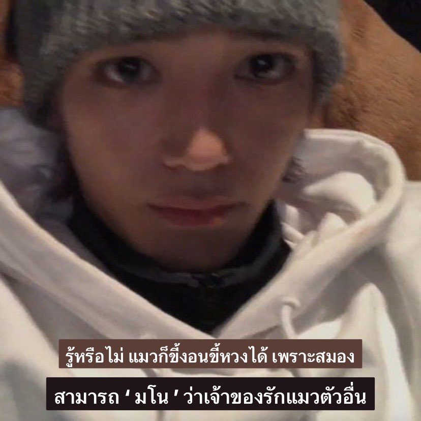 cherimar (@taeyongxtist) on Twitter photo 