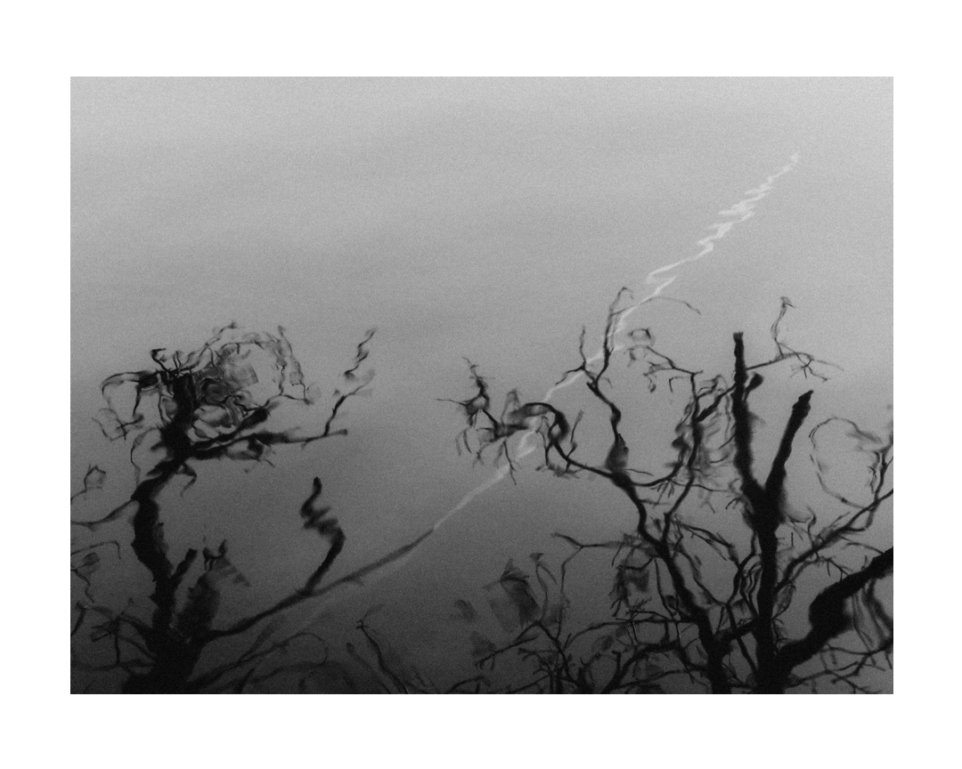 Remnants

#tsp_images_ #bw #bnw #loves_bnw #monoart #blackandwhite #bnw_life #blacknwhite  #bnw_mania__ #monochromatic #darkroom_daydream⁠ #framesmag #nature #photography #naturephotography #natureisbeauty #landscapephotograph #noiretblancphotographie #abstract #abstraction