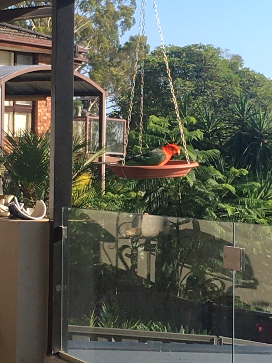 Ashley Walsh tweet media