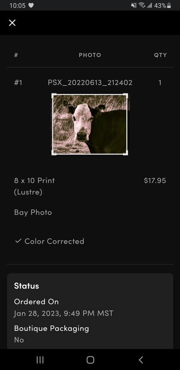 AZsolNft's tweet photo. What an amazing day! 2 prints ordered and our Genesis in the "Taggin' Along" collection is now available with a 0.079 reserve! Have a great night fam!
#photography #AZSolArt #nfts #art #TagginAlong #familyNFTs #letalittlesolinside
https://t.co/7k04cNQtmw https://t.co/RctDqCn0Ap