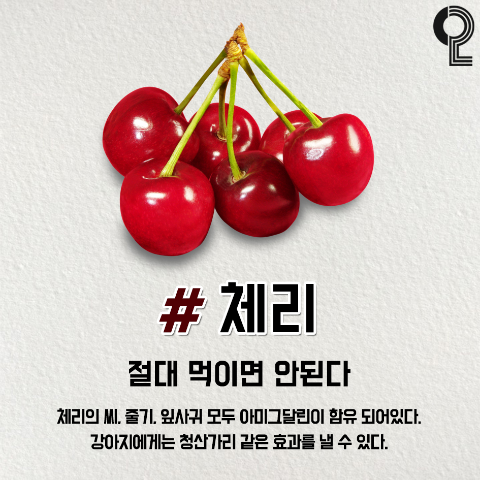 ggultips's tweet photo. 반려견에게 먹여도 되는 과일과 채소 타래

체리, 포도는 절대 안되니까 주의!! https://t.co/ipfslBSdkj