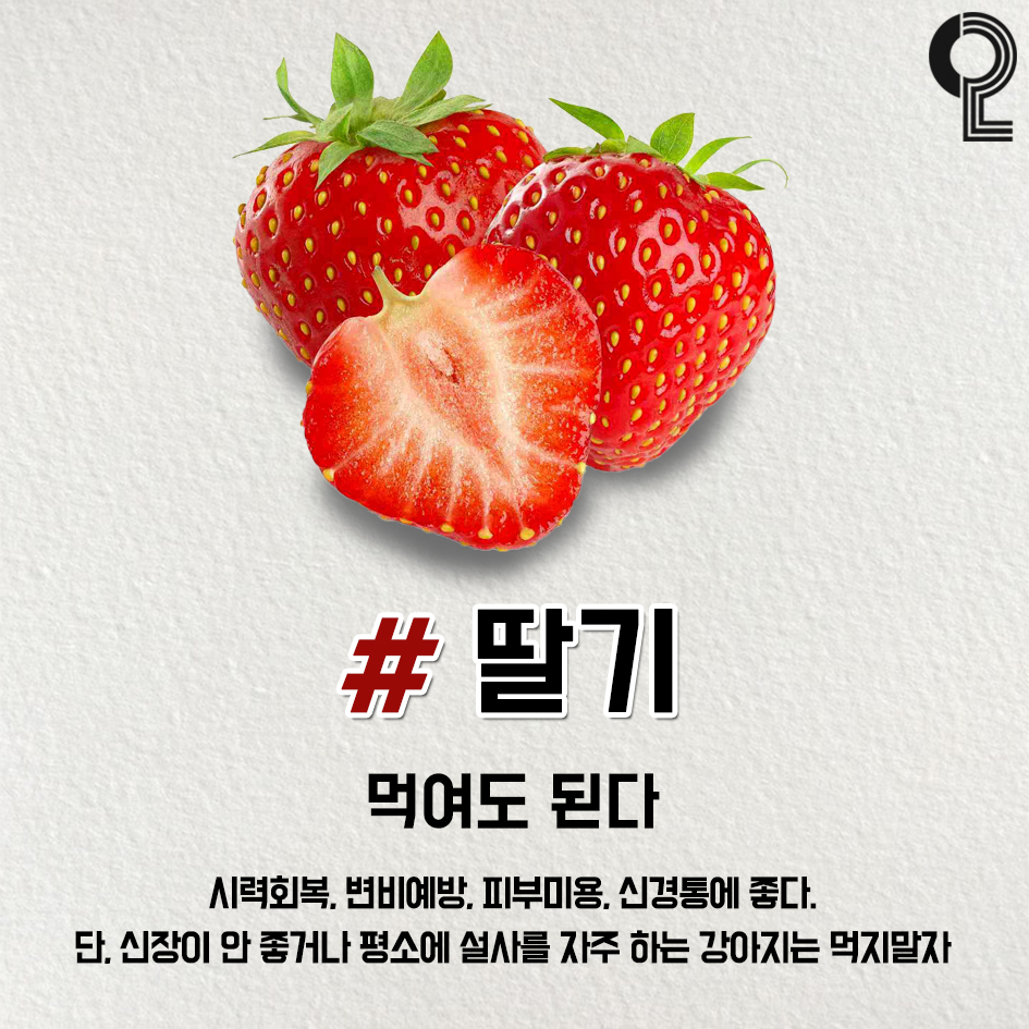 ggultips's tweet photo. 반려견에게 먹여도 되는 과일과 채소 타래

체리, 포도는 절대 안되니까 주의!! https://t.co/ipfslBSdkj