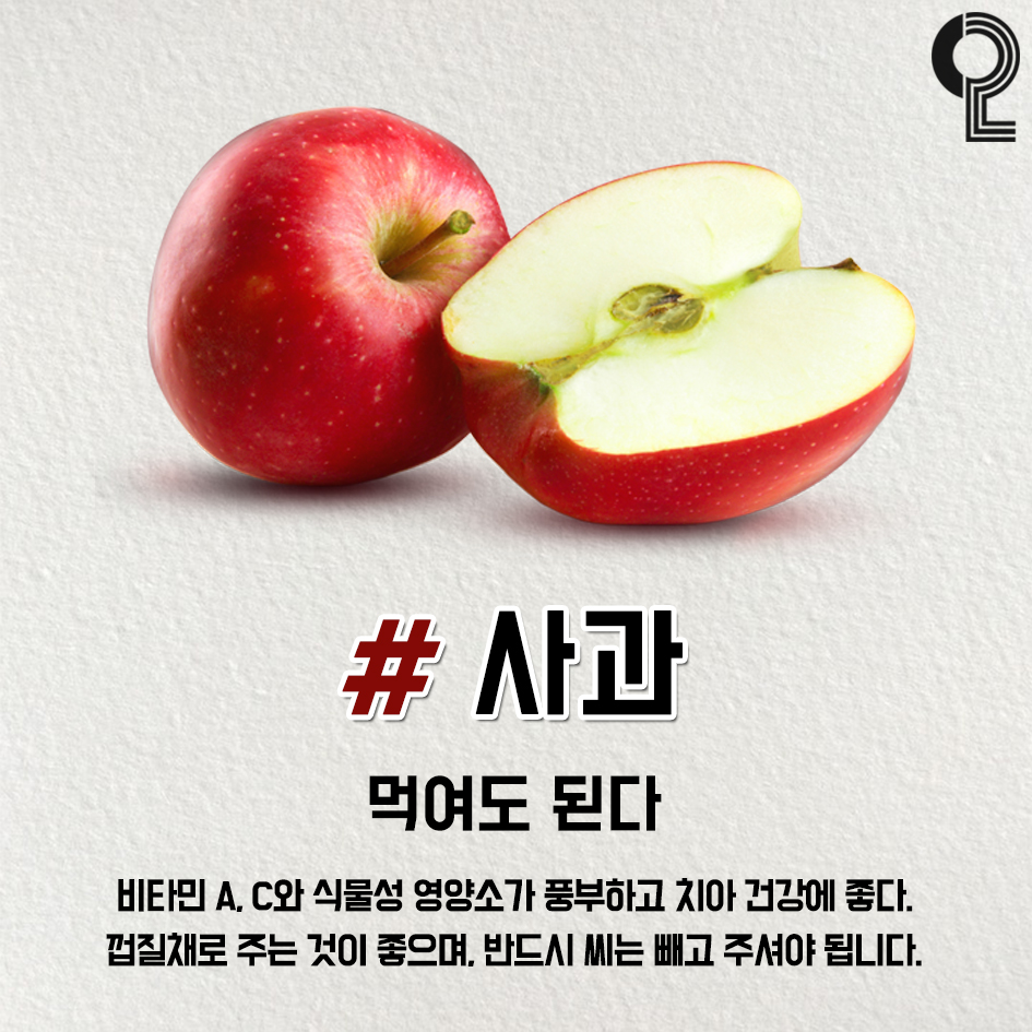 ggultips's tweet photo. 반려견에게 먹여도 되는 과일과 채소 타래

체리, 포도는 절대 안되니까 주의!! https://t.co/ipfslBSdkj