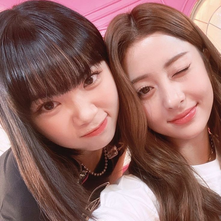 Lesserafimchive's tweet photo. purinz icons #LE_SSERAFIM #lesserafim #chaewon #yunjin #김채원 #チェウォン #르세라핌  #허윤진  #ユンジン #fearnot https://t.co/XcXwG3cZsb