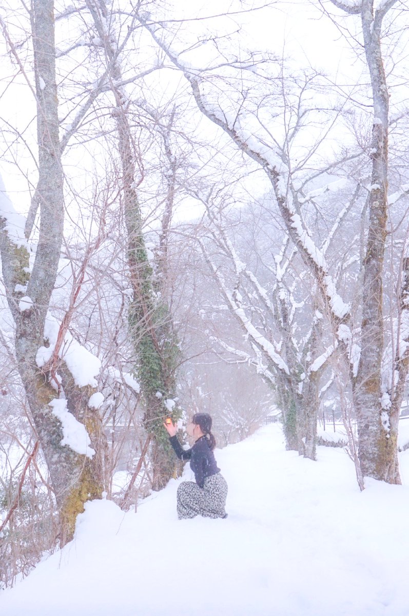 雪が好きすぎて、、
#sonya6300 
#sigma16mmf14 
#広島県 
#雪遊び 
#レッドレンザー 
#ml4