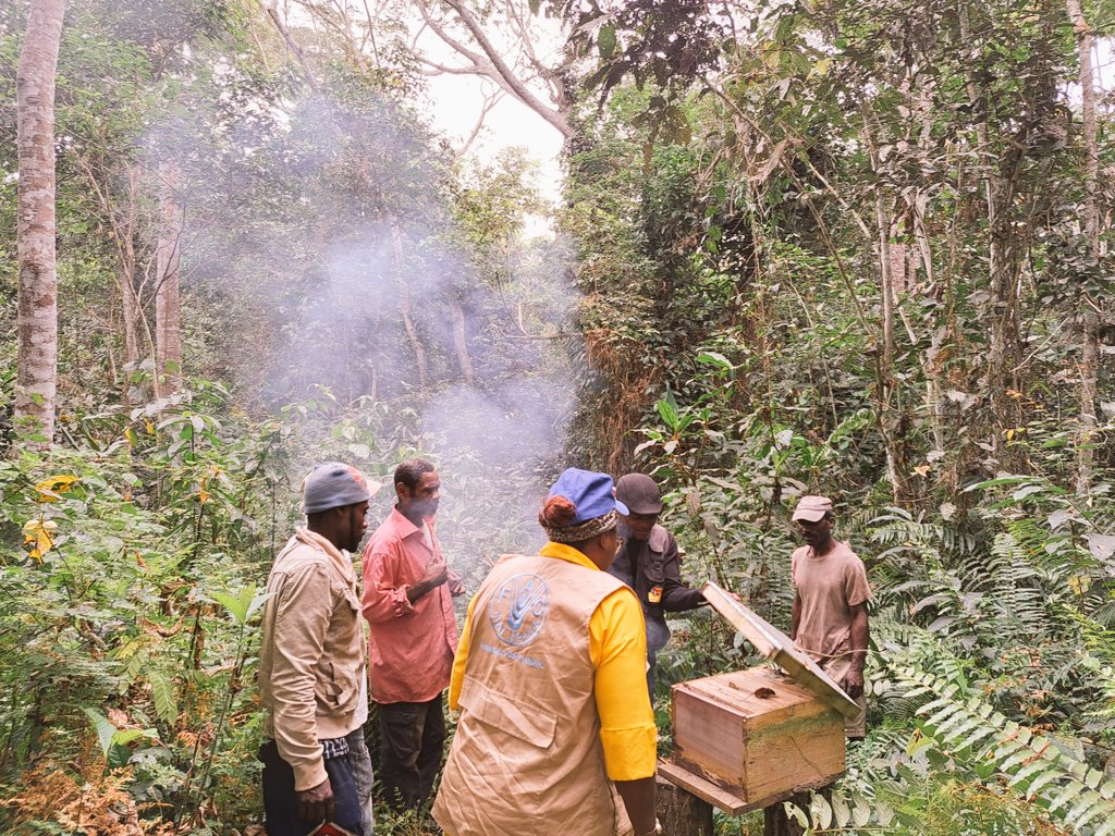 bussiere_brice's tweet photo. @OnuGabon is resolutely committed to leave no one behind #LNOB !
@FAOAfriqueCent strengthens the resilience of hard to reach rural populations of #Dimoussa 🇬🇦 with much welcomed beekeeping new technics !
#zerofaim https://t.co/GehmU4DG26