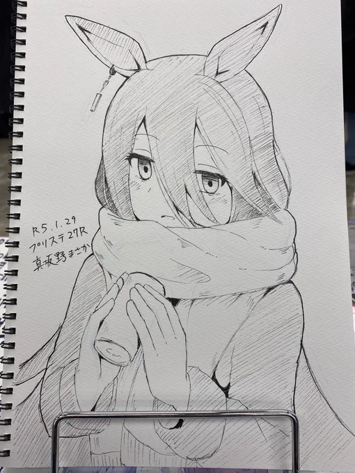 スケブ上がりました! 