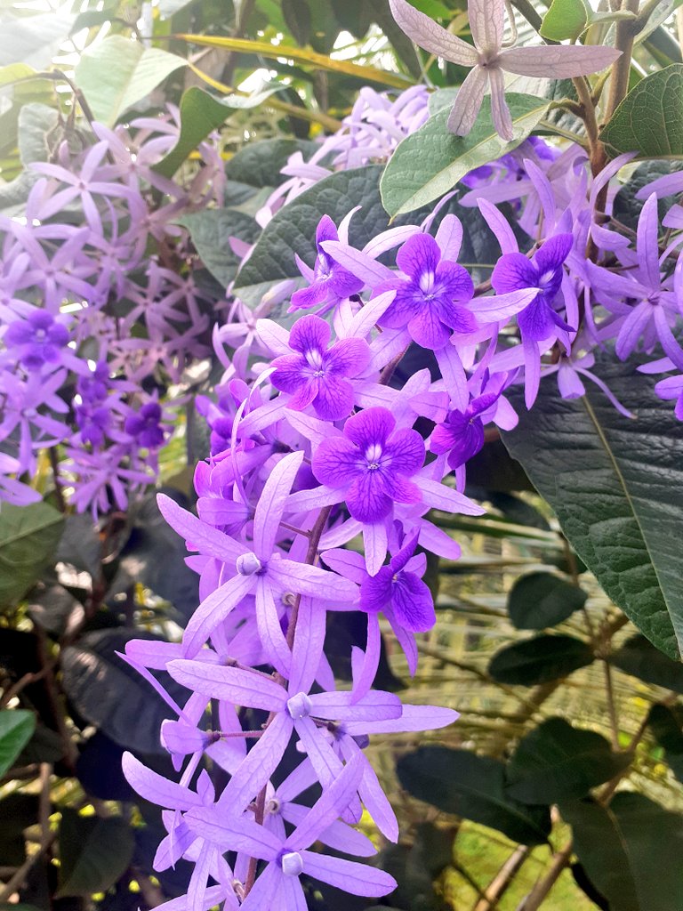 sathsarani17's tweet photo. Give me a reason to live.
Ans:- Nature

#Universal #universe #love #home #Flowers #morning #happy #Enjoy #life #god #Moksha https://t.co/m5Dotosut9