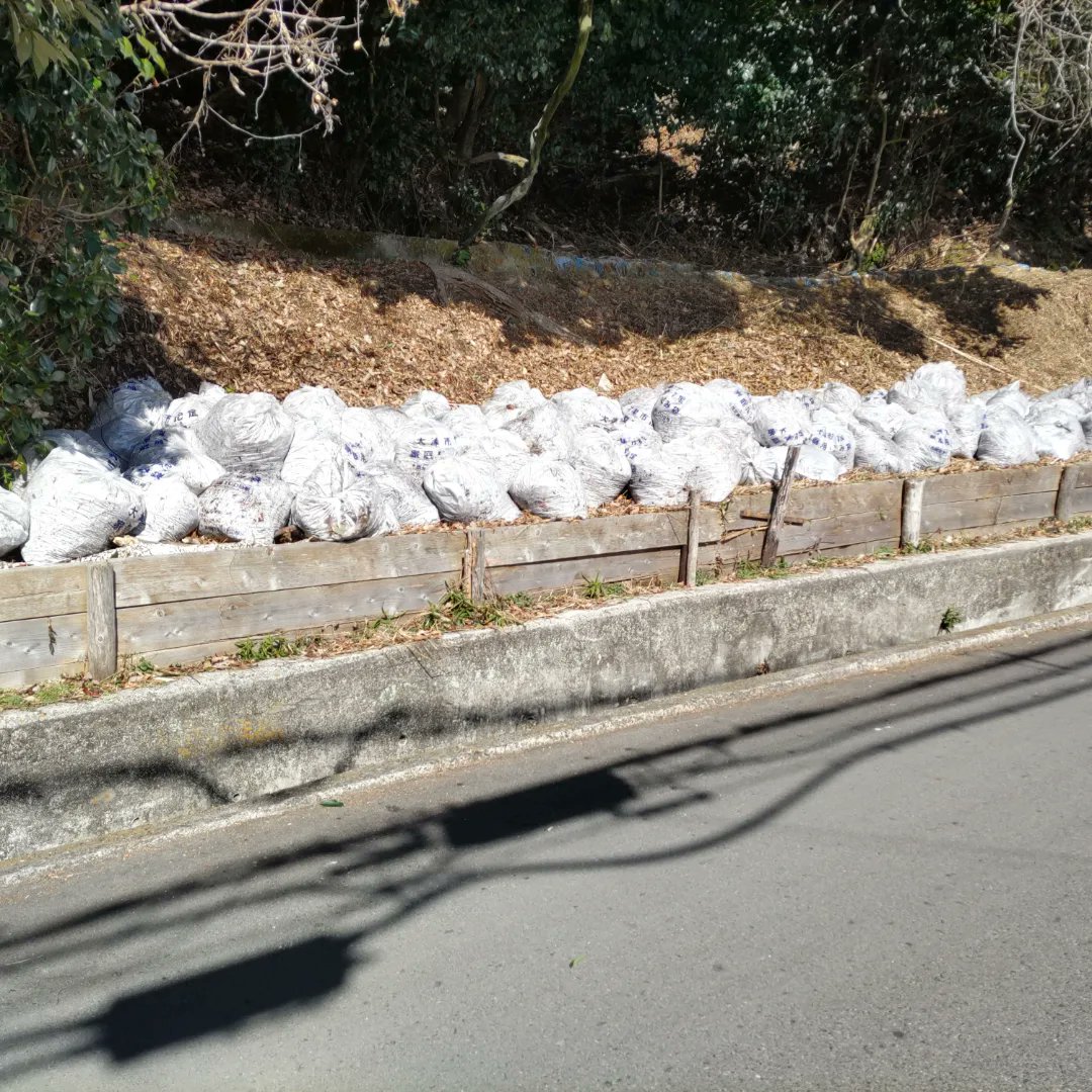 tomohisa_tanaka's tweet image. 今朝は、自治会有志の皆様と道路側溝に堆積する落ち葉清掃を行いました🍂昨日までの積雪で少し水分を含んだ落ち葉となり一袋がかなり重たくなる状況となりましたが、１時間近くの作業で113袋の回収となりました。ご協力下さいました皆様、本当にお疲れ様でした😆🙏#清掃活動 #腰が痛い #国民民主党