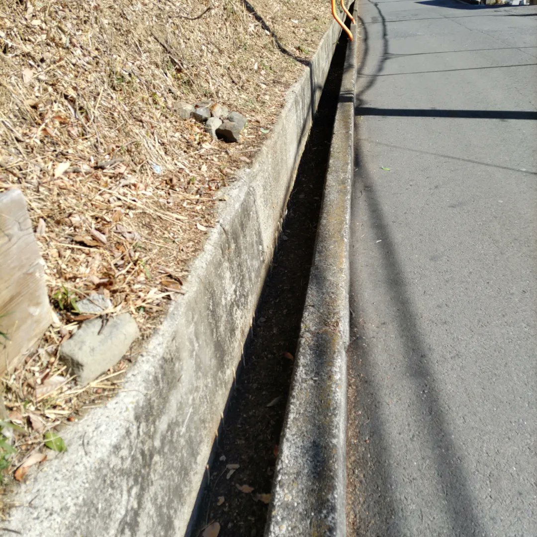 tomohisa_tanaka's tweet image. 今朝は、自治会有志の皆様と道路側溝に堆積する落ち葉清掃を行いました🍂昨日までの積雪で少し水分を含んだ落ち葉となり一袋がかなり重たくなる状況となりましたが、１時間近くの作業で113袋の回収となりました。ご協力下さいました皆様、本当にお疲れ様でした😆🙏#清掃活動 #腰が痛い #国民民主党