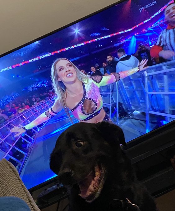 CHELSEEEAAAAAAAA 😂😍 https://t.co/eRrCSMY8nk