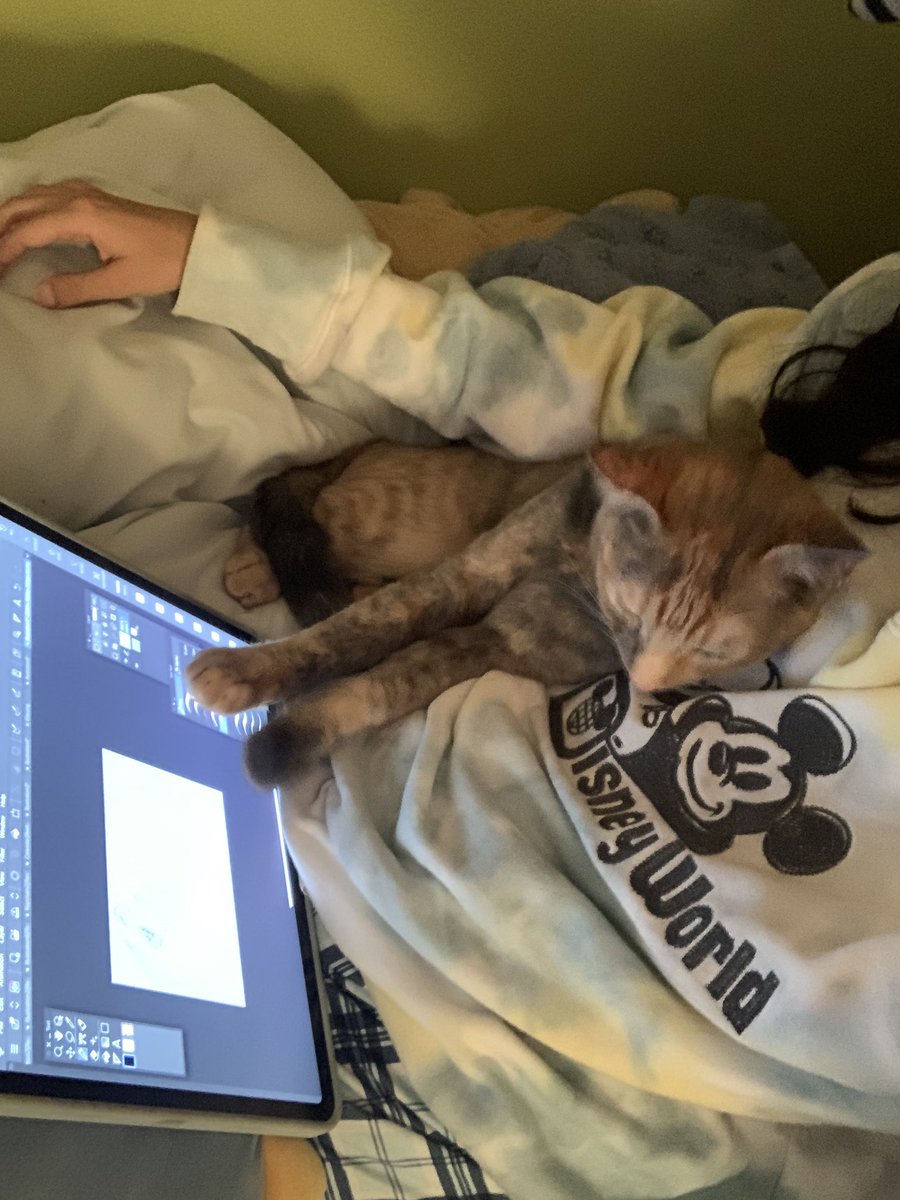 morfy_27's tweet photo. He likes to sit with me when I draw :) https://t.co/Xpk6C3jS4o