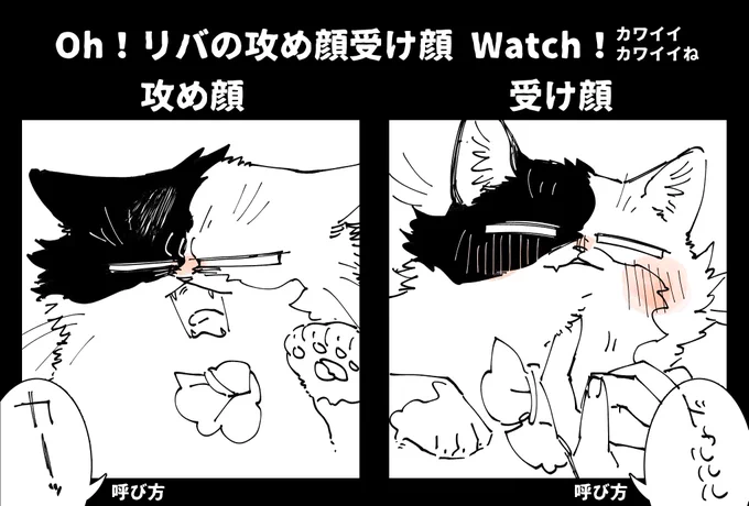 すけべの時以外差が無いしな〜って猫㌧で書いたがこれスケベ時の顔描くやつだった!? 