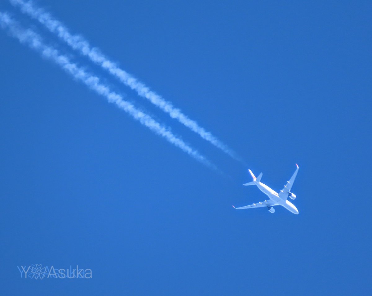 yumeasutw's tweet photo. #青空 を行く✈️
/
キーンと冷えた
視界良好な朝空を
新千歳空港を目指し
短い #飛行機雲 を棚引かせ
気持ち良さそうに
飛び行く #飛行機 💙
#空の名前
#天気の図鑑 #雲友の会
#雲の教室
#人為起源雲
#JAL #エアバス #A350_941
#a2023 #a0129 #a202301 #a2023015 https://t.co/XBrmEhQB3o